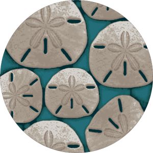 American Dakota Rugs Coastal Rugs 0150AQU Aqua