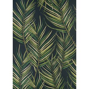 Couristan Rugs Dolce Bamboo Forest 75080010 Cool Onyx