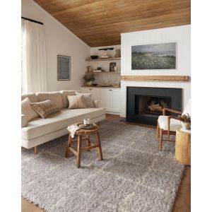 Loloi Rugs Amira AMIRAMI-04SIIV