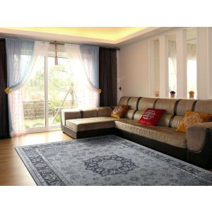 Dynamic Rugs ANCIENT GARDEN AN575599686 Silver/Blue