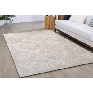Dynamic Rugs ATLAS AS2573800 Beige