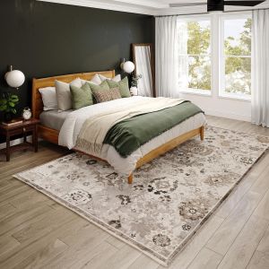 Dalyn Rugs Antalya AY5 Silver