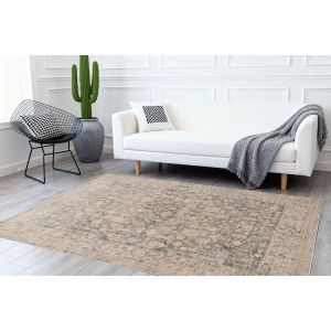 Dynamic Rugs BLOOMFIELD BF19603910 Grey/Cream