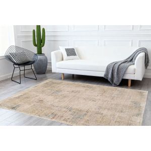 Dynamic Rugs BLOOMFIELD BF19604980 Grey/Beige