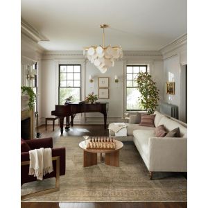 Loloi Rugs Bradbury BRADBRU-02DVGO