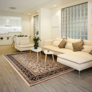 Dynamic Rugs BRILLIANT BR72284191 Ivory