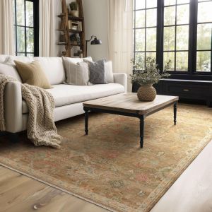Karastan Rugs Sundar R1426 110 Brown