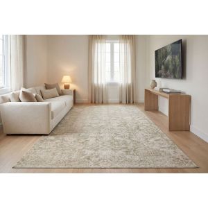 Dynamic Rugs CANYON CY15478840 Beige/Sage