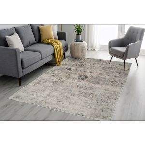 Dynamic Rugs CASTILLA CC3530190 Ivory/Grey