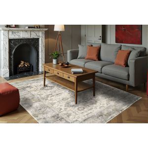 Dynamic Rugs CASTILLA CC3534109 Cream/Silver