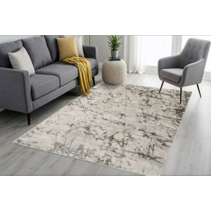 Dynamic Rugs CASTILLA CC3554190 Ivory/Grey