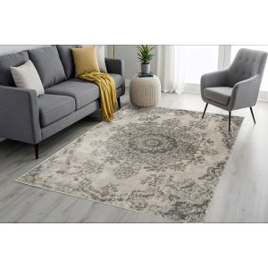 Dynamic Rugs CASTILLA CC3558195 Light Grey