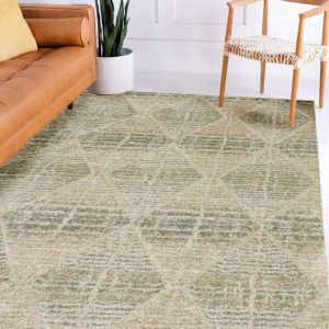 Dalyn Rugs Carmona CO8 Mist