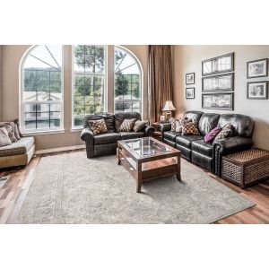 Dynamic Rugs DHARMA DH12041180 Ivory/Beige