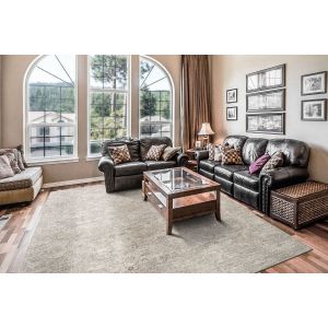 Dynamic Rugs DHARMA DH12043899 Beige/Multi