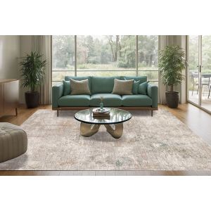 Dynamic Rugs DHARMA DH12044899 Beige/Multi