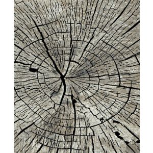 Mayberry Rugs Denver DN8552 Timber Gray