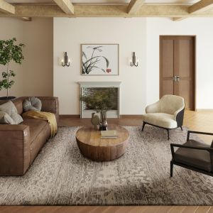 Dalyn Rugs Denizi DZ6 Silver