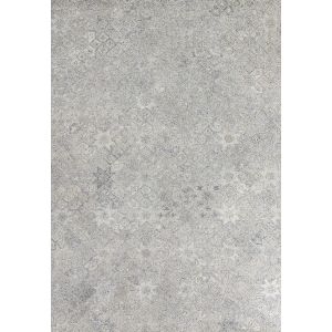 Dynamic Rugs FOREVER FV7667900 Silver