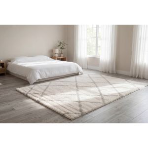Dynamic Rugs HAVEN HV19594190 Ivory/Grey