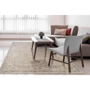 Dynamic Rugs HUDSON HU1450810 Beige/Ivory