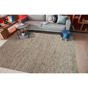 Dynamic Rugs JAX JX18990140 Ivory/Sage