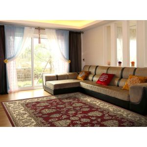 Dynamic Rugs LEGACY LE58020330 Red