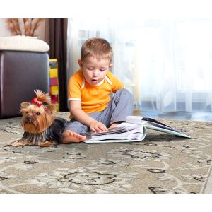 KAS Rugs Lucia LUC2750 Grey