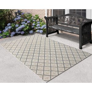 Dynamic Rugs MELISSA ML4232190 Ivory/Grey