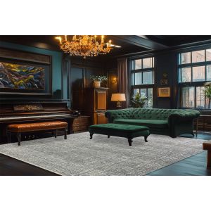 Dynamic Rugs OLIVIA OV12730900 Grey