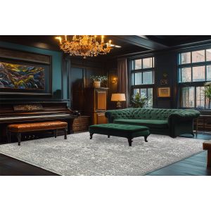Dynamic Rugs OLIVIA OV12731919 Grey/Light Grey