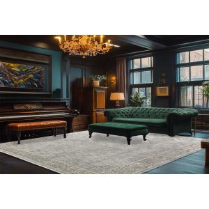 Dynamic Rugs OLIVIA OV12733980 Grey/Beige