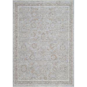 Dynamic Rugs PATARA PT10578969 Silver/Rust/Multi