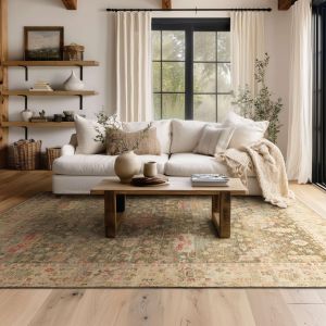 Karastan Rugs Sundar R1427 248 Charcoal