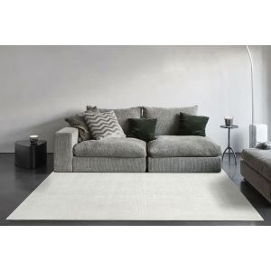 Dynamic Rugs QUIN QN410066161 Ivory   