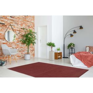 Linon Rugs Classic NC621