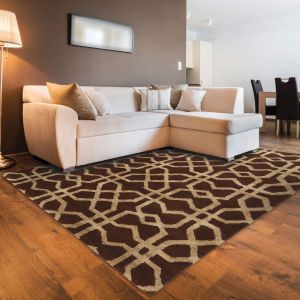Linon Rugs Aspire Collection AE23