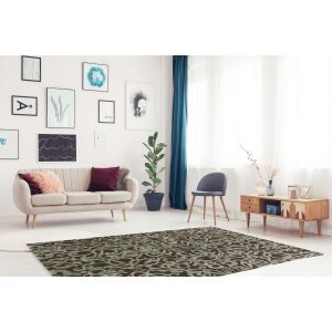 Linon Rugs Aspire Collection AE25