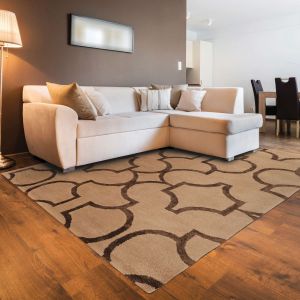 Linon Rugs Aspire Collection AE29