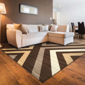 Linon Rugs Claremont Collection CT25