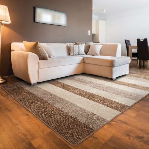 Linon Rugs Evolution Collection EV11