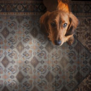 Linon Rugs Oakland RUGOK07