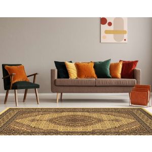 Linon Rugs Persian Treasures PT16