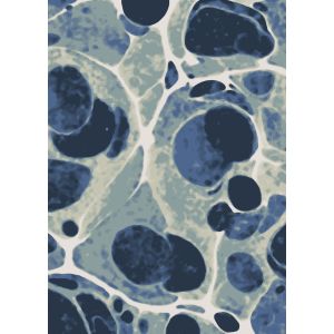 American Dakota Rugs Coastal Rugs 0156SFM Blue