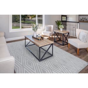 Dynamic Rugs TIMELESS TL6925909 Grey/Light Grey