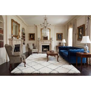 Dynamic Rugs VENICE VC18401190 Cream/Grey