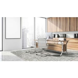 Joy Carpets Rugs WorkSpace 2132-01 Fool's Gold Dove