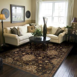 Oriental Weavers Rugs HUDSON HUD 42g Brown/ Beige