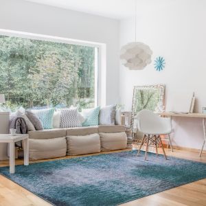 Joy Carpets Rugs First Take 1992-01 Raku Mirage Lake